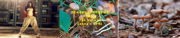 герыч Володарск