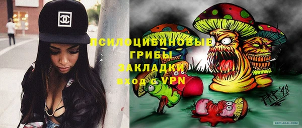 прущий лед Вяземский