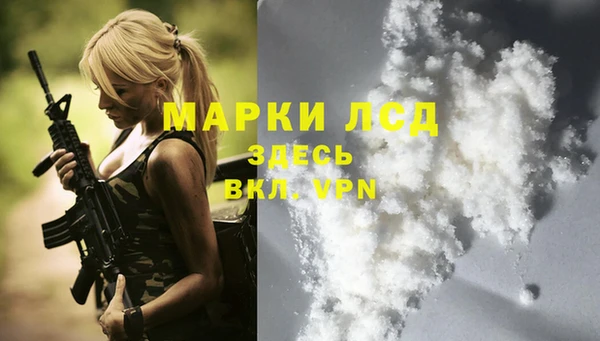 прущий лед Вяземский